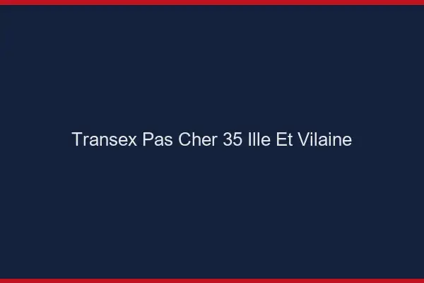 Transex Pas Cher 35 Ille Et Vilaine