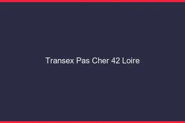 Transex Pas Cher 42 Loire