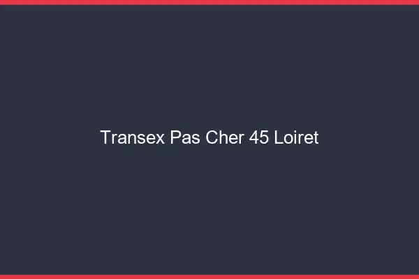 Transex Pas Cher 45 Loiret