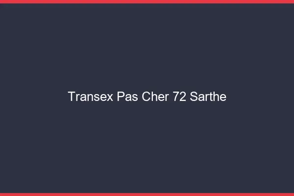 Transex Pas Cher 72 Sarthe