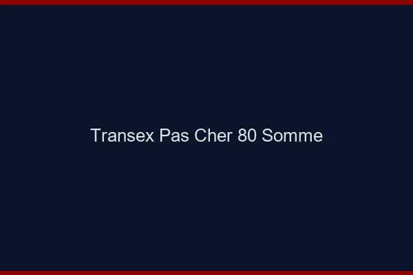 Transex Pas Cher 80 Somme