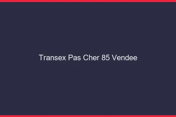 Transex Pas Cher 85 Vendee