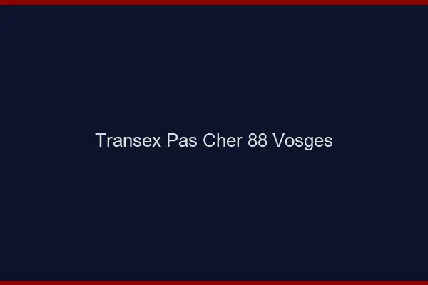 Transex Pas Cher 88 Vosges