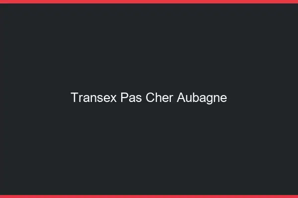 Transex Pas Cher Aubagne