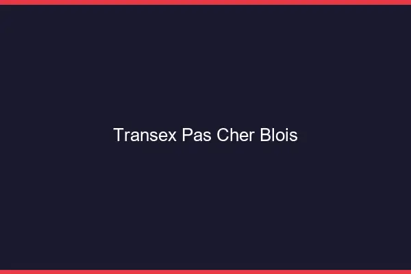 Transex Pas Cher Blois