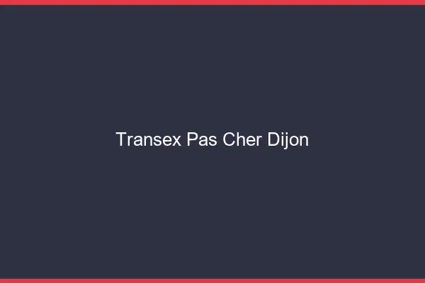 Transex Pas Cher Dijon