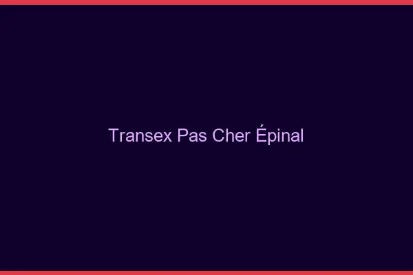 Transex Pas Cher Épinal