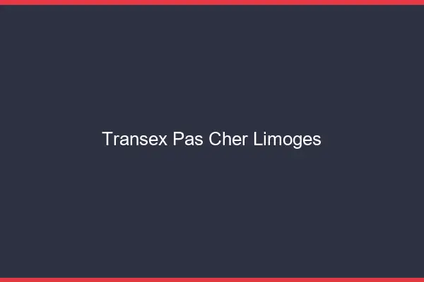 Transex Pas Cher Limoges