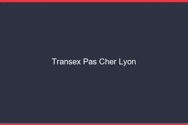 Transex Pas Cher Lyon