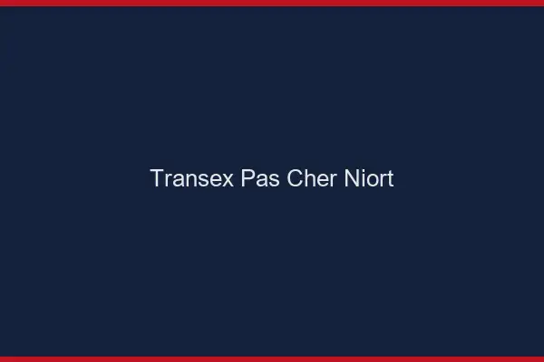 Transex Pas Cher Niort