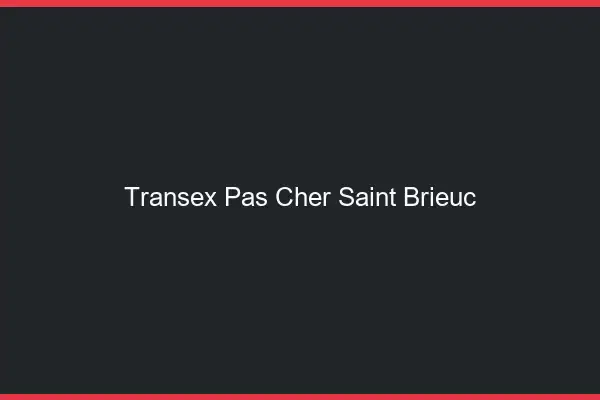 Transex Pas Cher Saint-Brieuc
