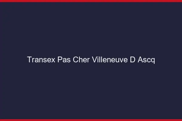 Transex Pas Cher Villeneuve-d'Ascq