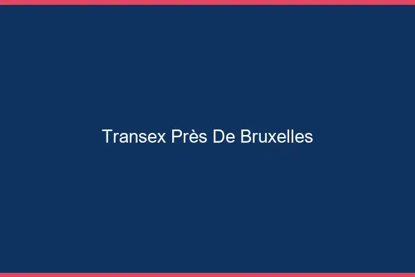 Transex Près de Bruxelles