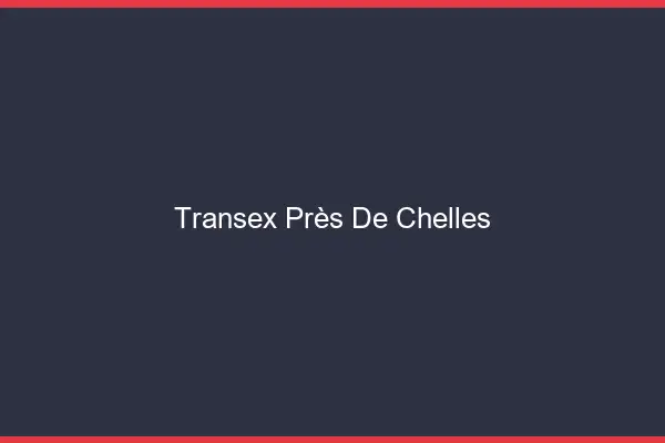 Transex Près de Chelles