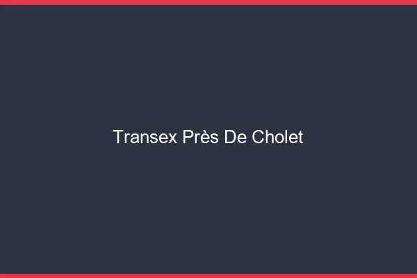 Transex Près de Cholet