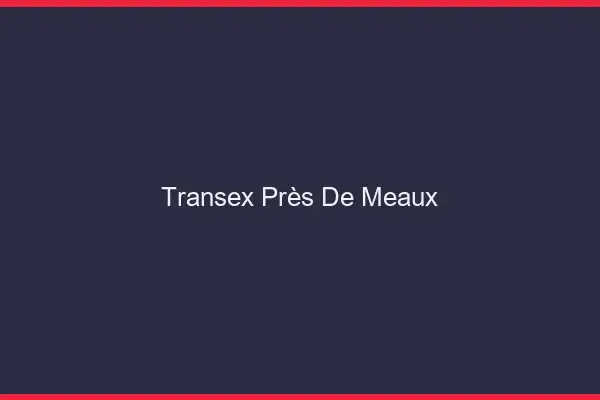 Transex Près de Meaux