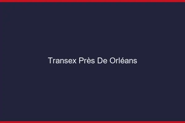Transex Près de Orléans
