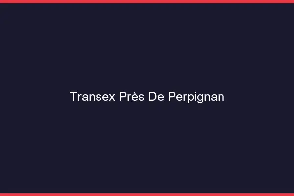 Transex Près de Perpignan