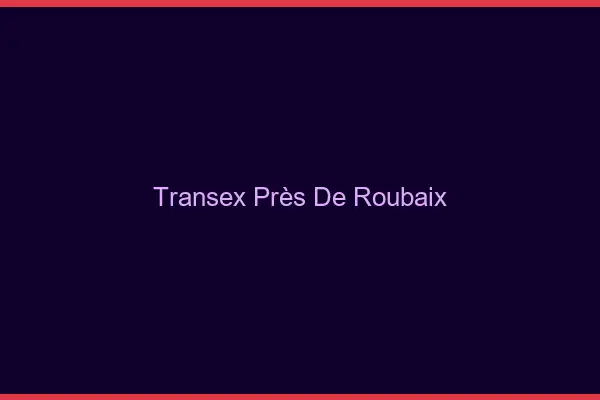 Transex Près de Roubaix