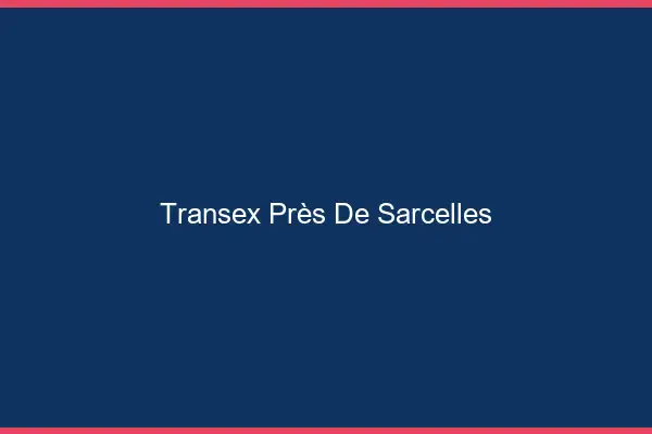 Transex Près de Sarcelles