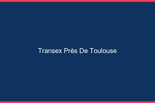 Transex Près de Toulouse