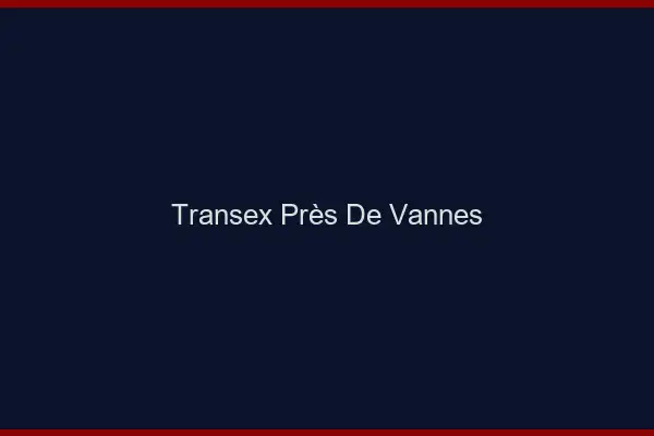 Transex Près de Vannes