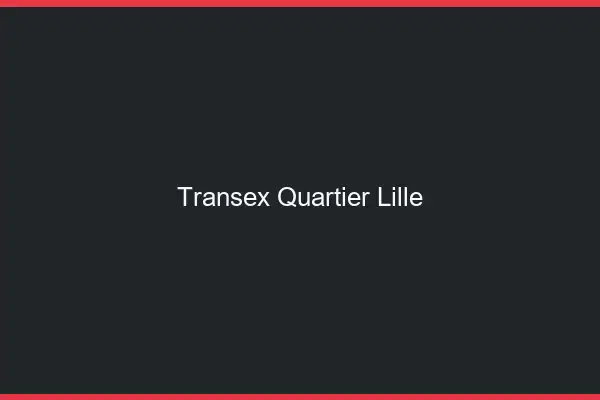 Transex Quartier Lille