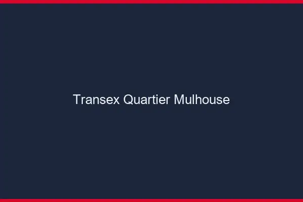 Transex Quartier Mulhouse