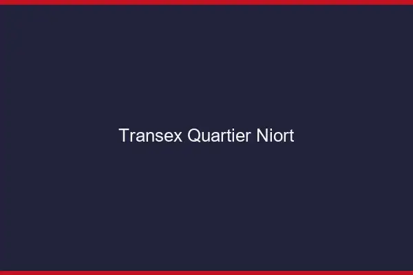 Transex Quartier Niort