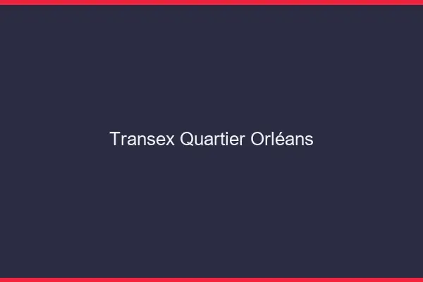 Transex Quartier Orléans