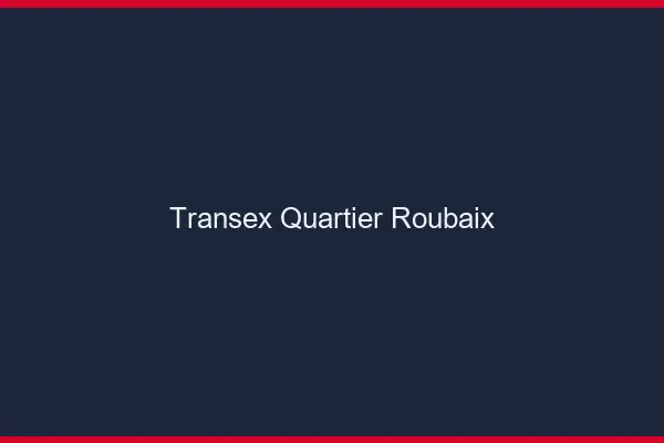 Transex Quartier Roubaix