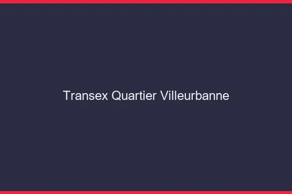 Transex Quartier Villeurbanne