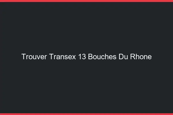 Trouver Transex 13 Bouches Du Rhone
