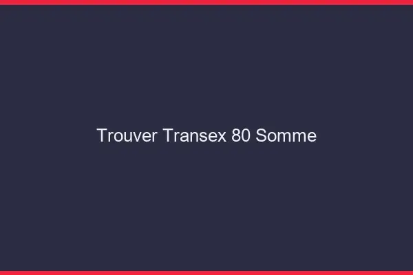 Trouver Transex 80 Somme