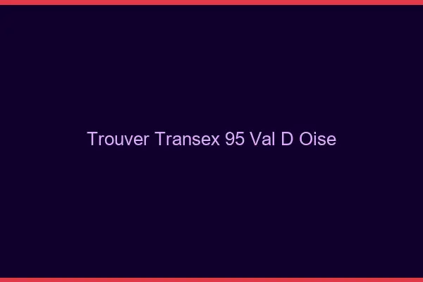 Trouver Transex 95 Val D Oise