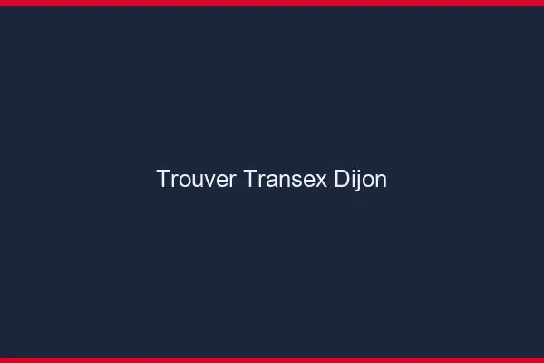 Trouver Transex Dijon