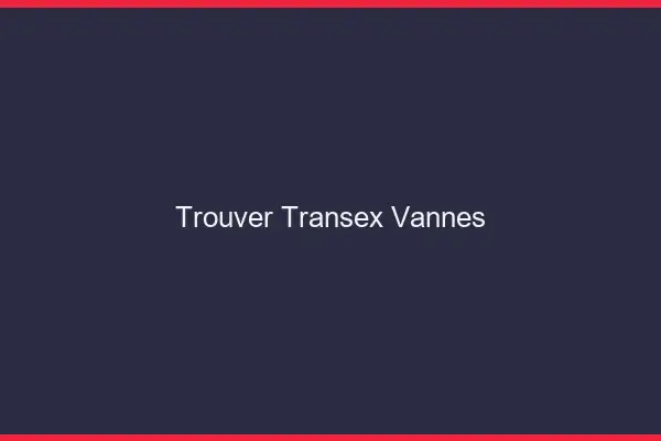 Trouver Transex Vannes